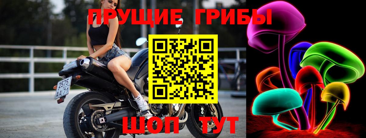 Галлюциногенные грибы мухоморы  Вход с VPN  Галлюциногенные грибы Psilocybe  Усть-Джегута 