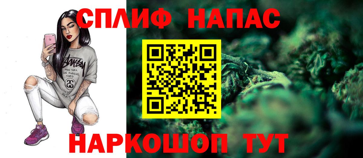 Конопля сатива  Марихуана план  Усть-Джегута  Вход с VPN  Каннабис сатива 